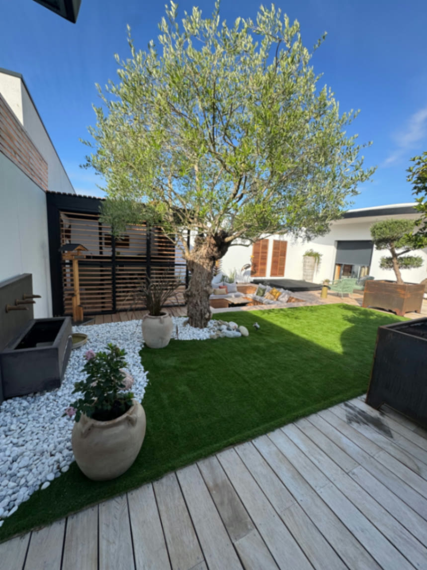 Olivier majestueux ombrageant un salon extérieur cosy