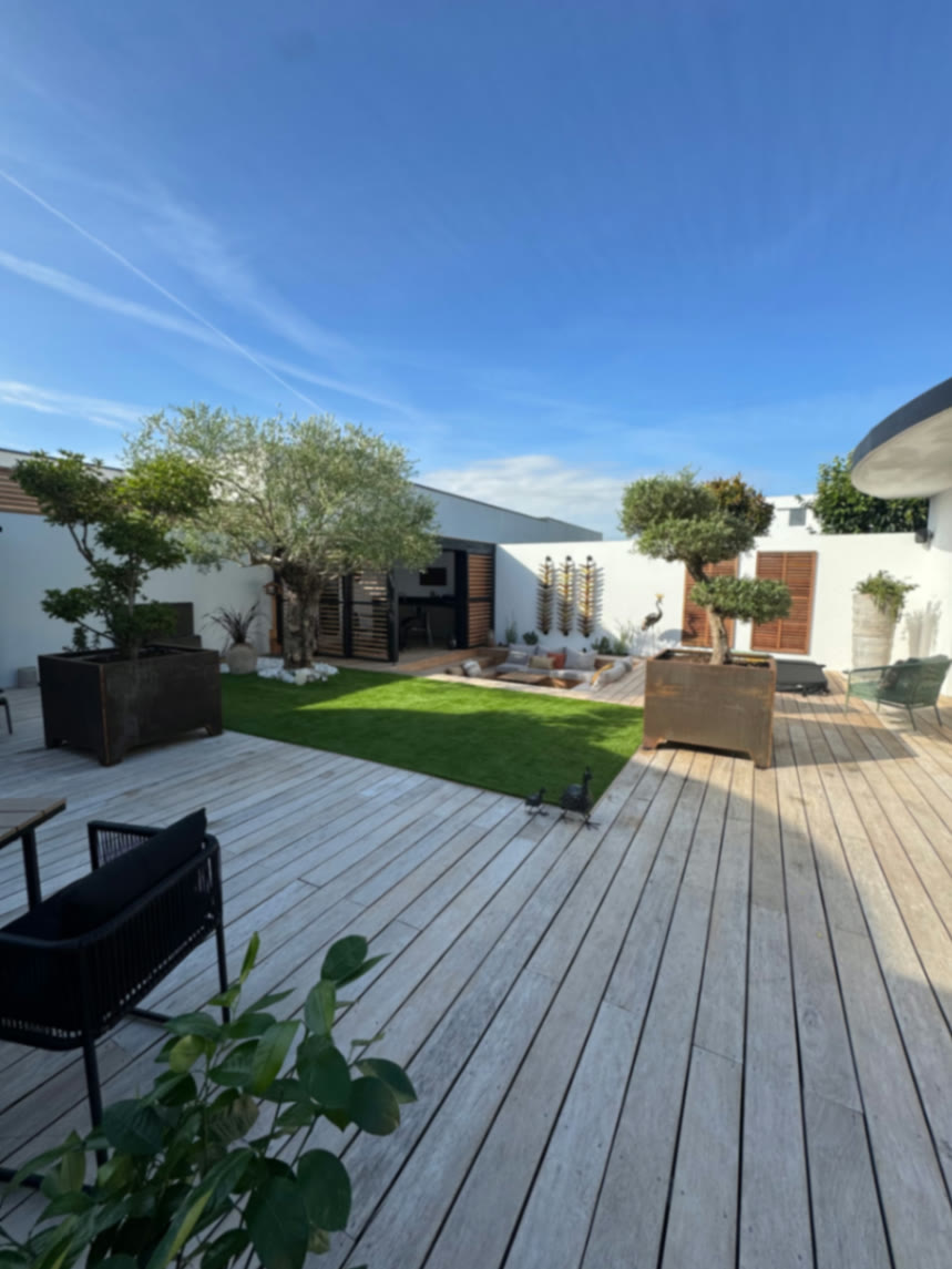 Terrasse aménagée avec oliviers taillés en nuage